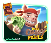 Three Crazy Piggies